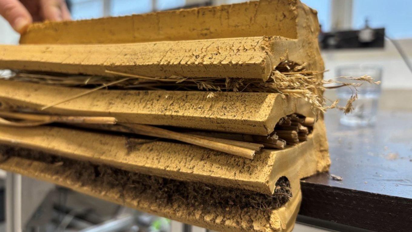 From sludge to building materials