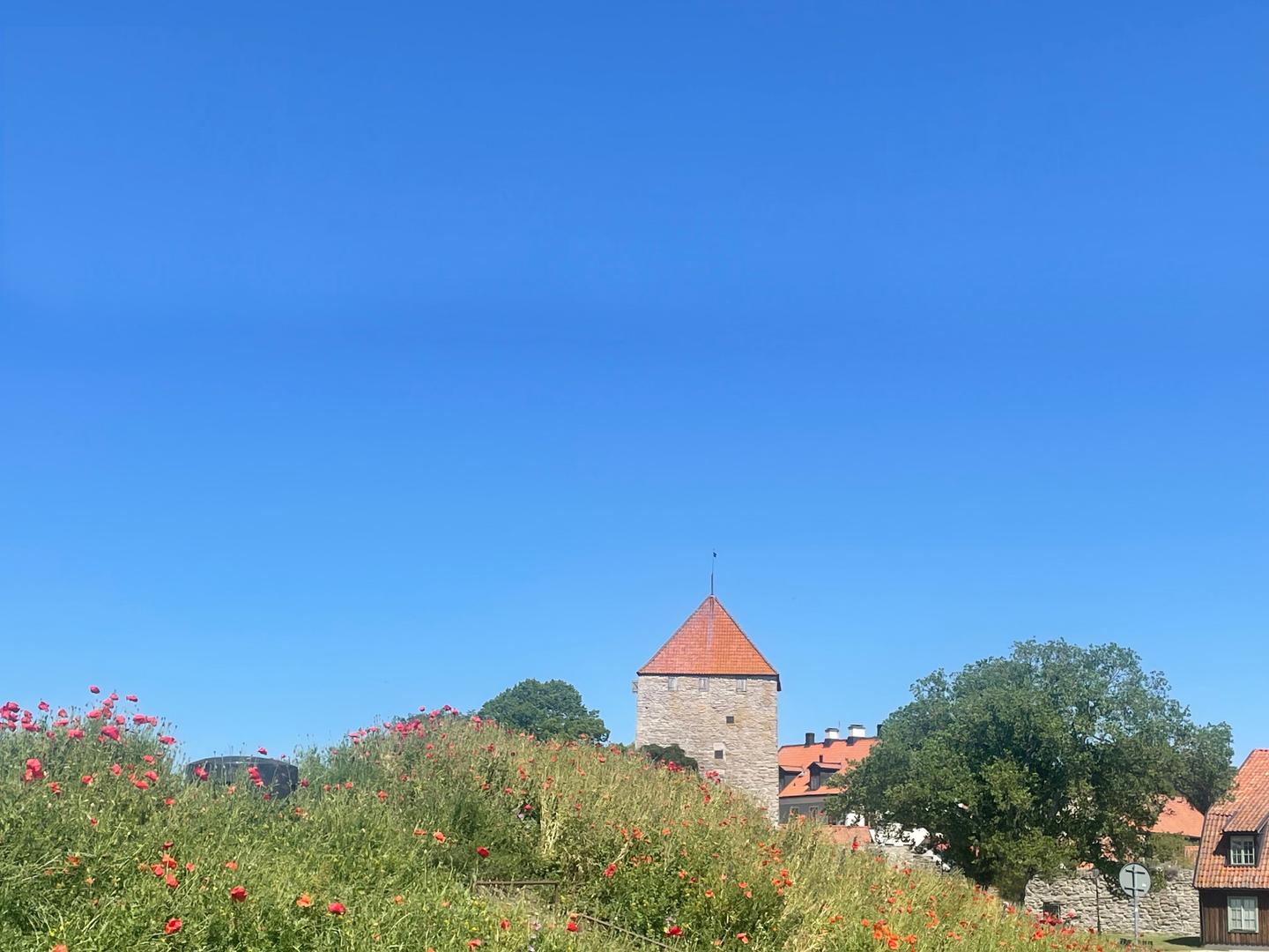 Partk at Gotland